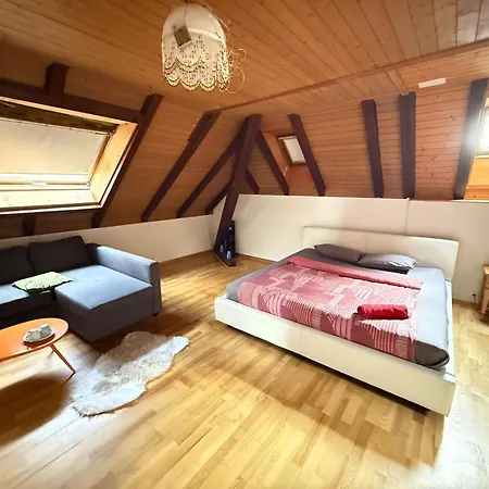 For Rent In