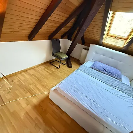 For Rent In Bolligen