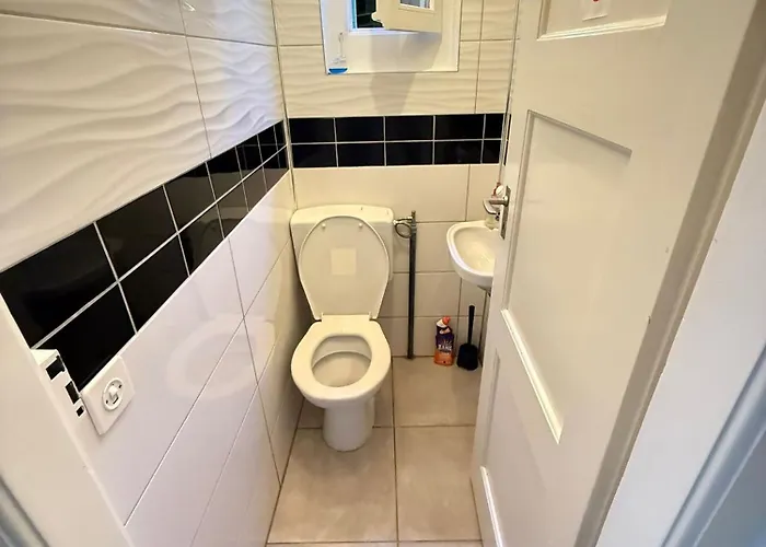 For Rent In 公寓 *